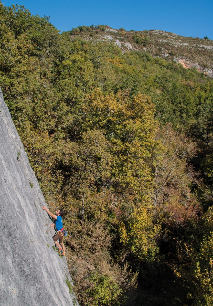 LOTE PRESAS ESCALADA