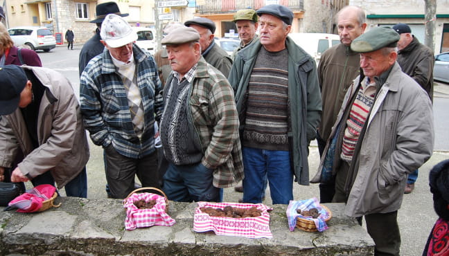 Marché aux Truffes à Limogne en Quercy Du 6/12/2024 au 7/3/2025