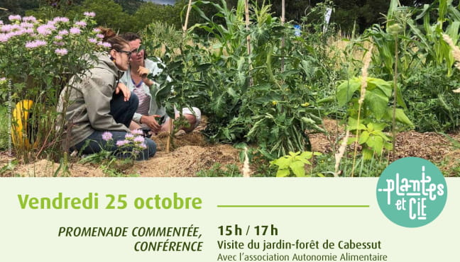 Visite du Jardin Forêt Le 25 oct 2024