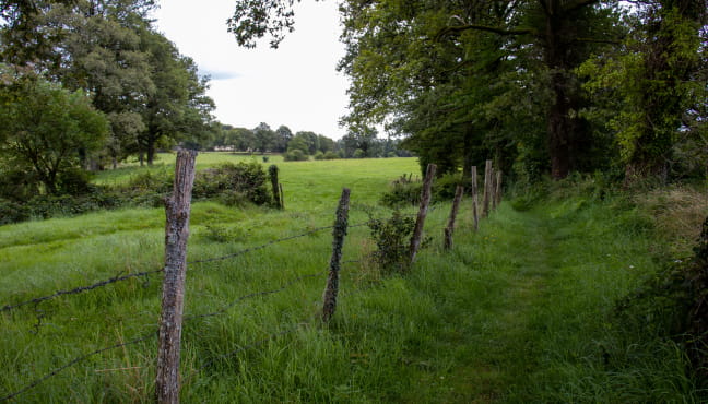 Randonnée douce avec Pique et Pousse en Quercy Blanc