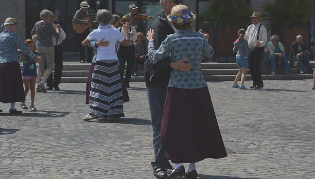 Stages danse, musique et chant / Bal trad