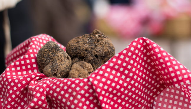 Balades commentées autour de la truffe Du 24/12/2024 au 4/3/2025