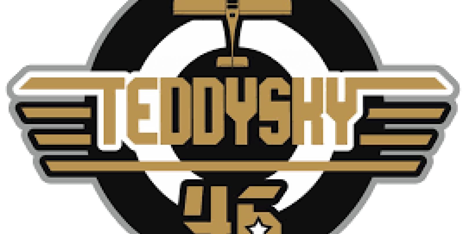 TeddySky46