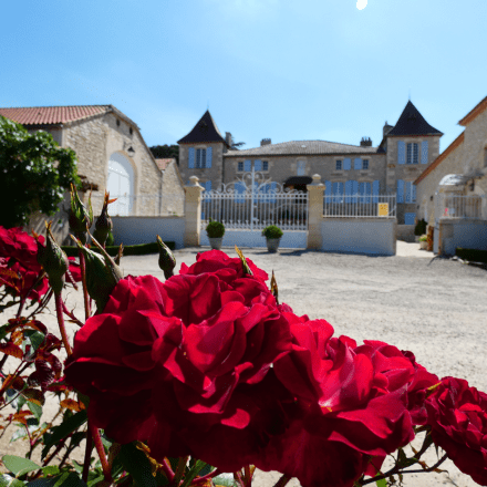 Gaudou Castle